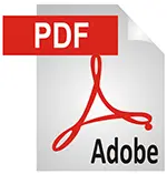 एंडोट्रैचियल ट्यूब 2-वे सिलिकॉन फोले कैथेटर